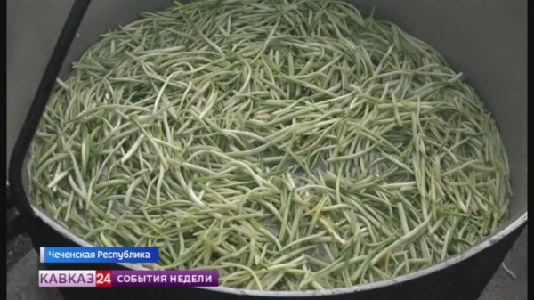 В Чечне прошел фестиваль черемши