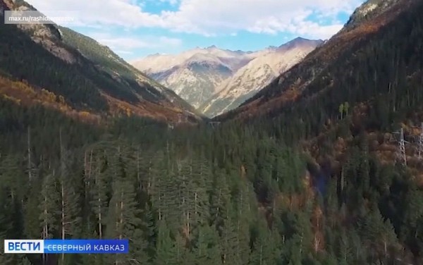 Тебердинский национальный парк отметил юбилей